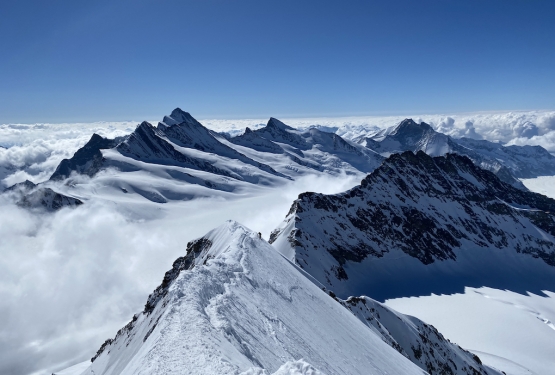 Oberland, 3 giorni di sci alpinismo impegnativo