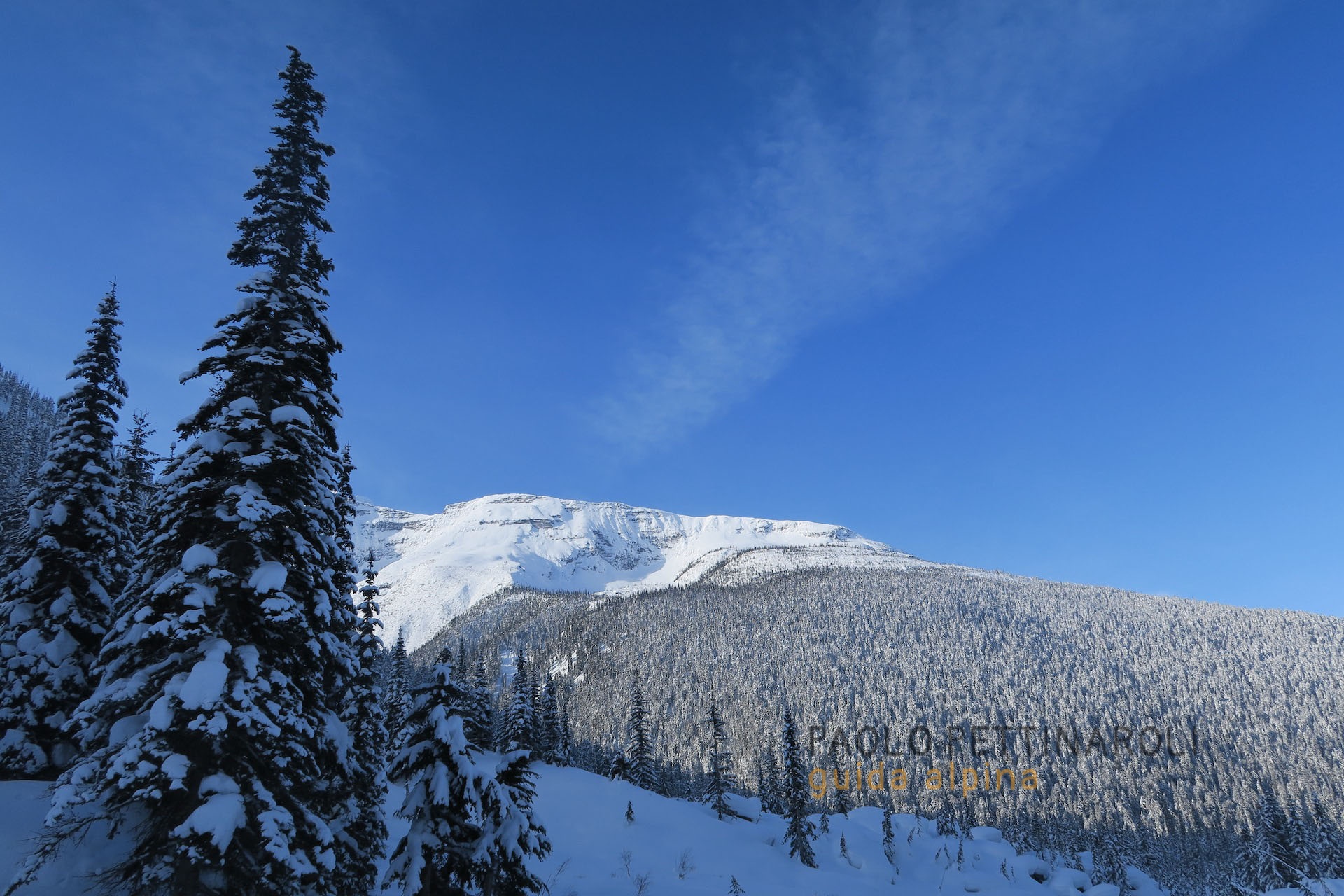 IMG_2364-panorami_paolo pettinaroli guida alpina