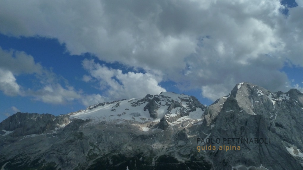 marmolada